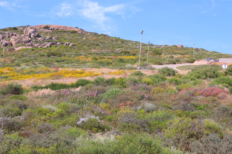 0 Bedroom Property for Sale in Steenbergs Cove Western Cape